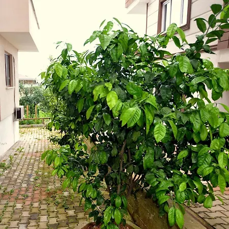 空那卡拉尔尊贵酒店 2* 特拉布宗