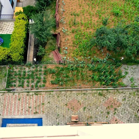 空那卡拉尔尊贵酒店 特拉布宗