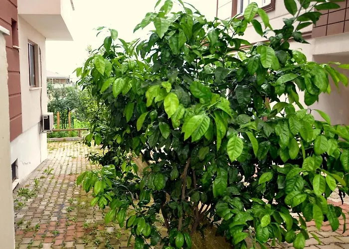 Konaklar Premium 2* Trabzon